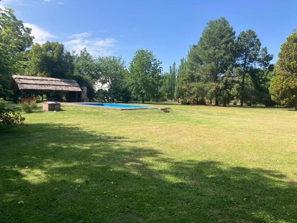 Day, Natural landscape, Garden, Pool view, Swimming pool