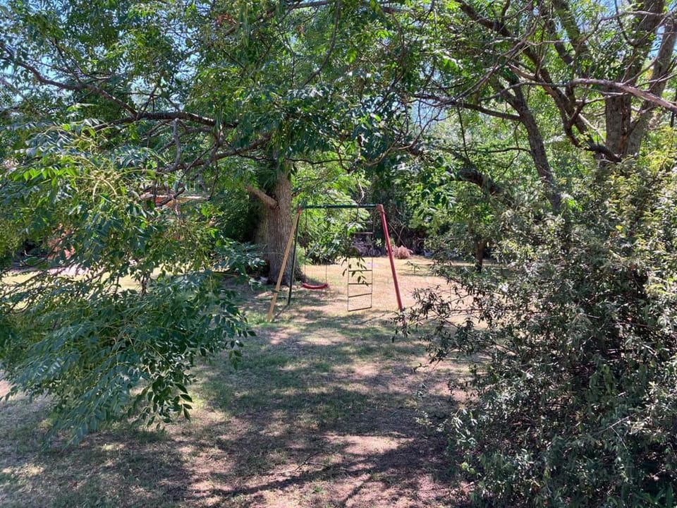 Children play ground, Garden, Garden view