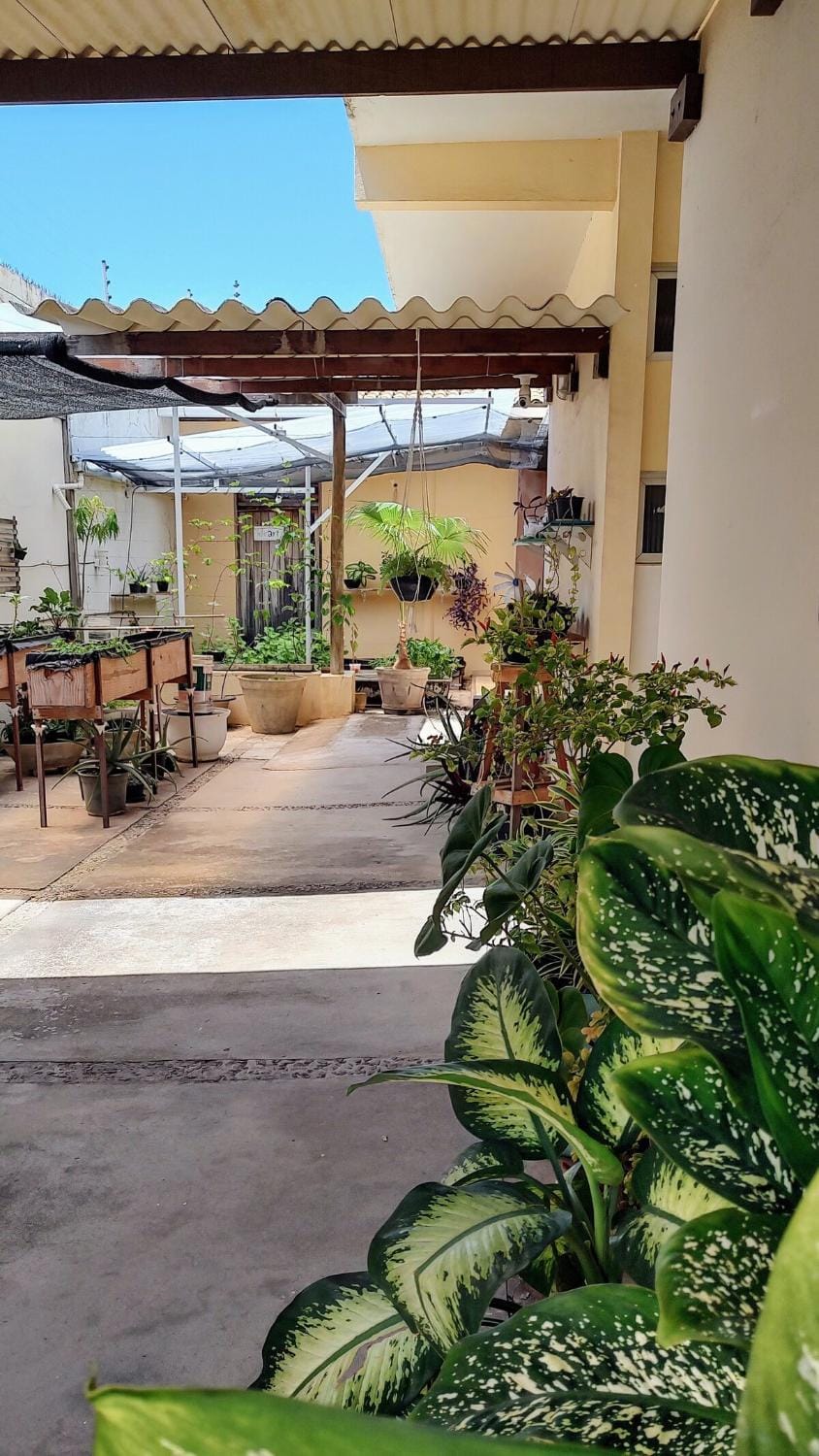 Garden, Garden view
