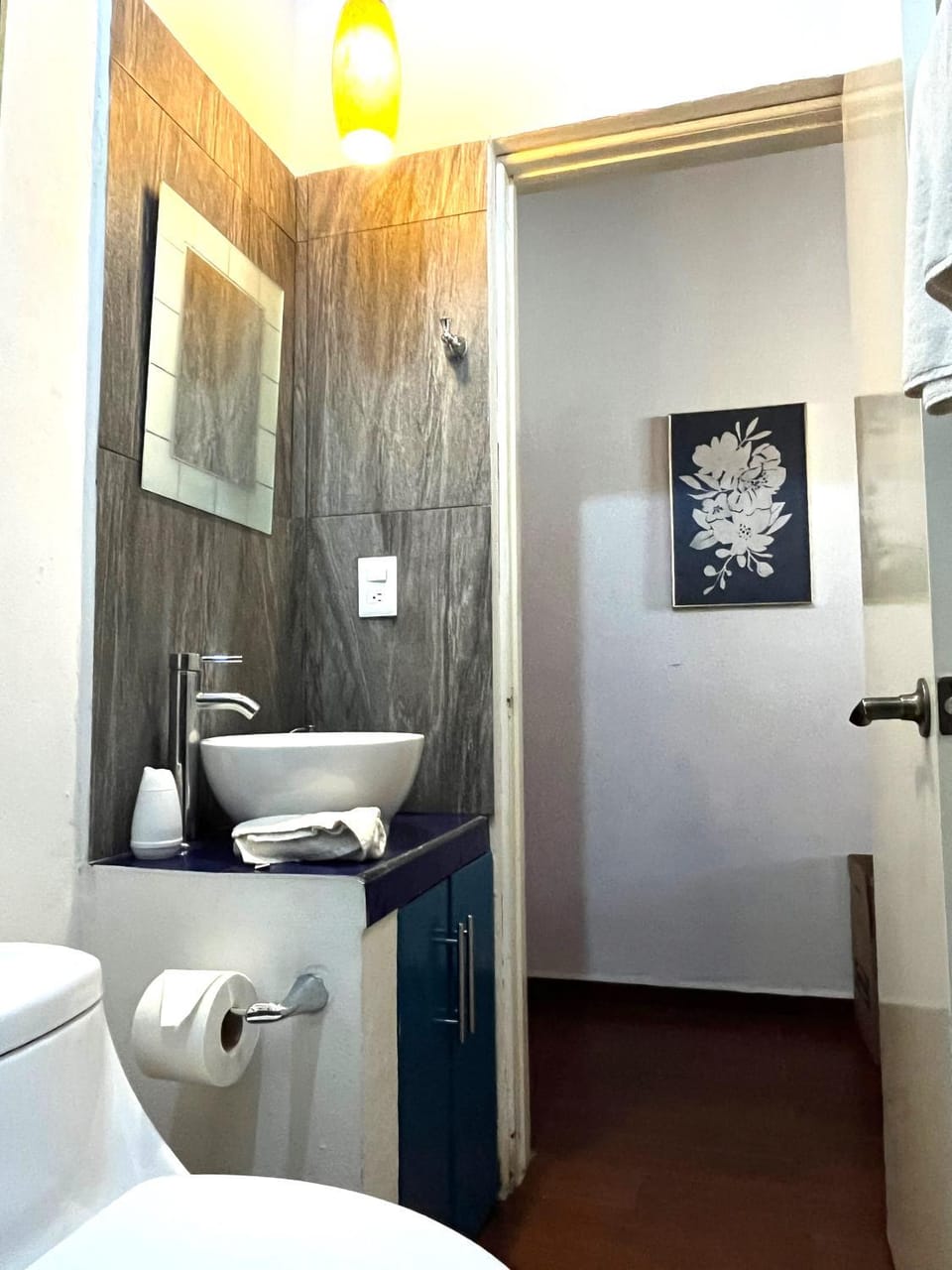 Toilet, Bathroom