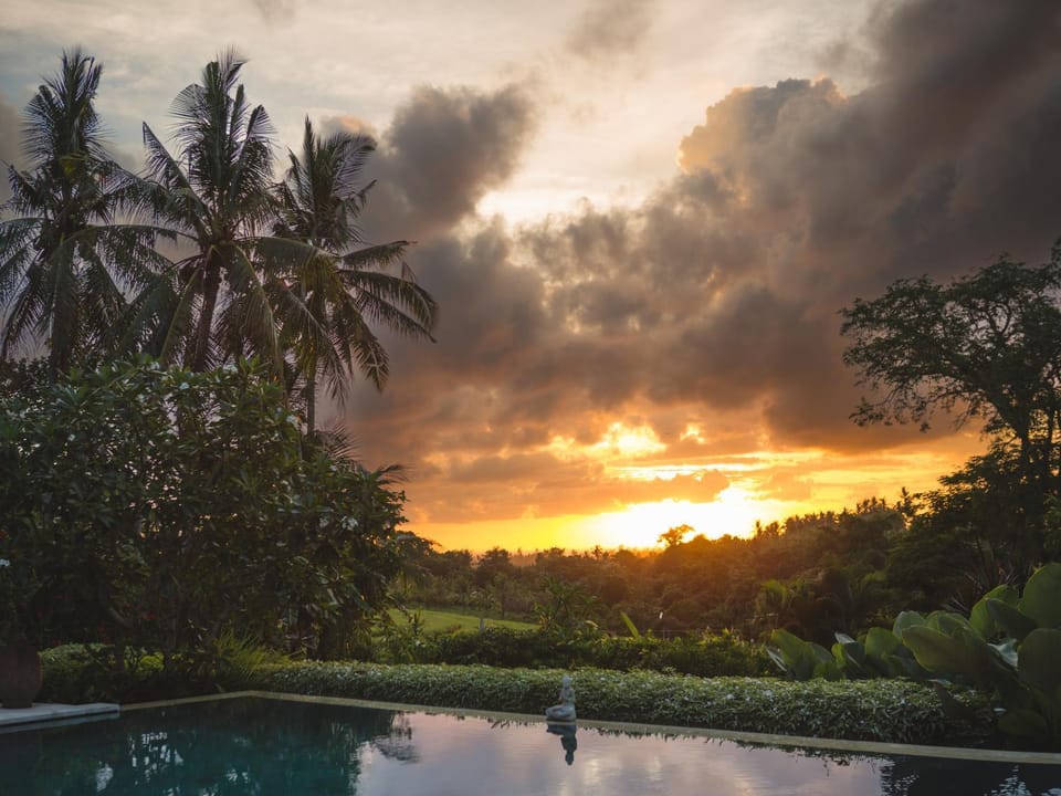 Natural landscape, Garden, Garden view, Pool view, Swimming pool, Sunset