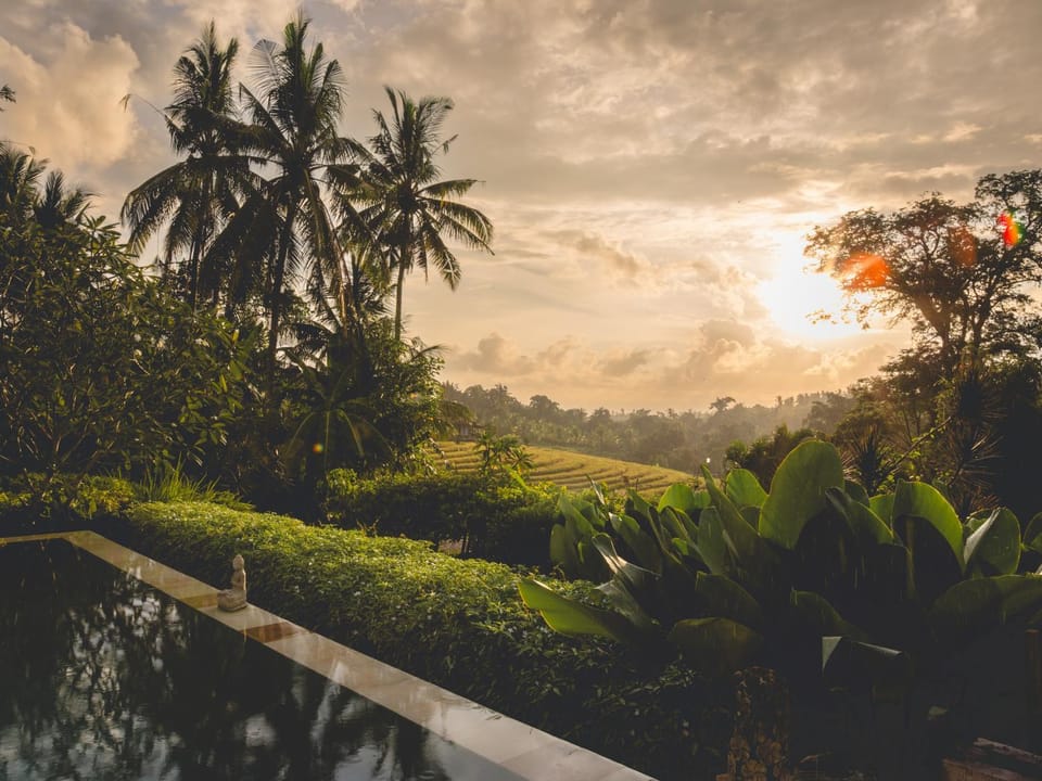 Natural landscape, Garden, Garden view, Swimming pool, Sunrise, Sunset