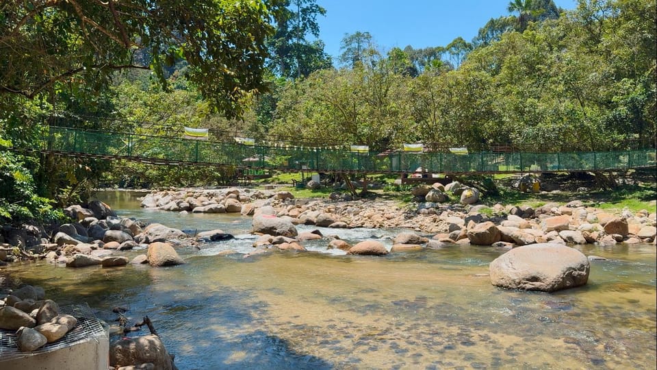 Natural landscape, View (from property/room), River view