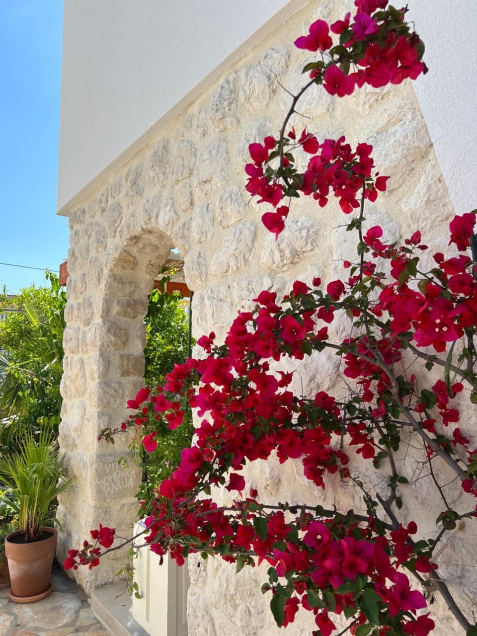 Garden, Garden view, Landmark view