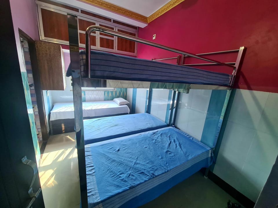 Bed, Photo of the whole room, Bedroom, bunk bed