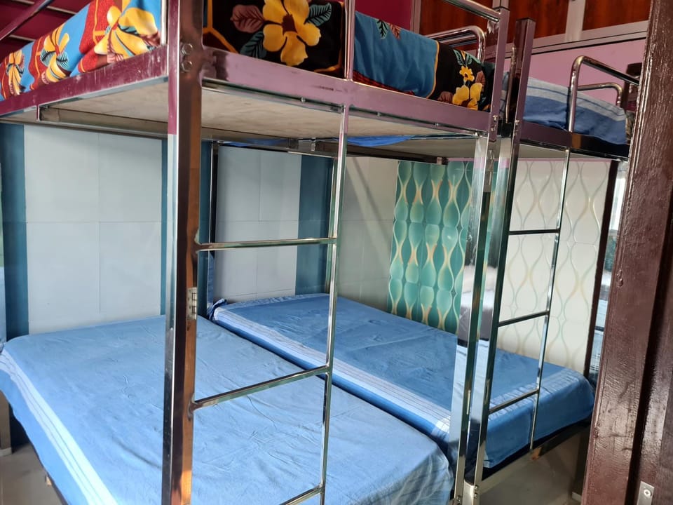 Bed, Photo of the whole room, Bedroom, bunk bed