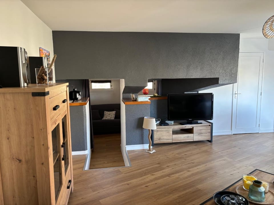 TV and multimedia