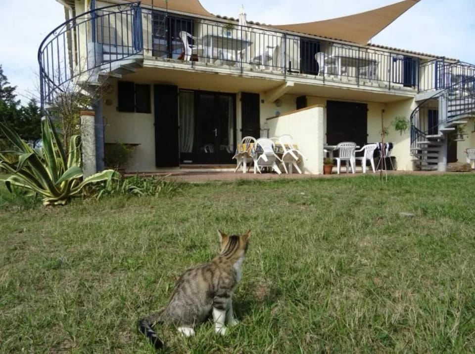 Garden, Balcony/Terrace
