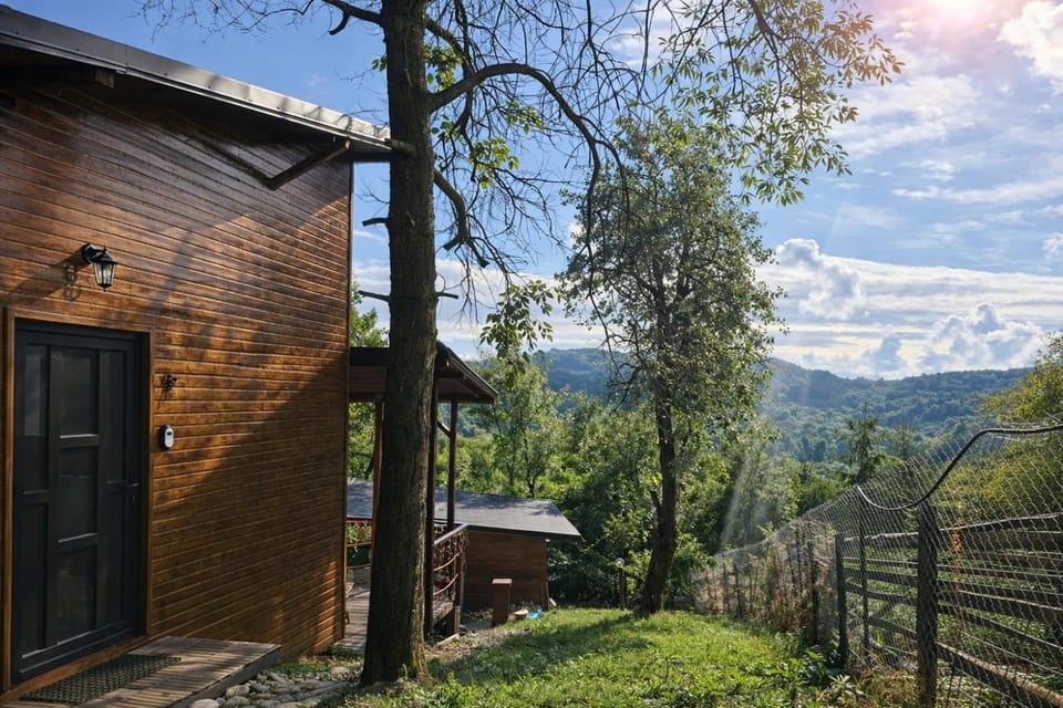 Mountain view