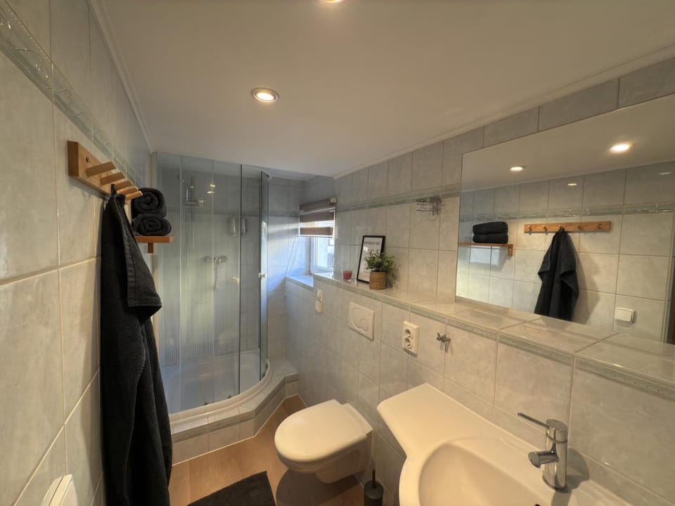 Shower, Toilet, Bathroom, towels