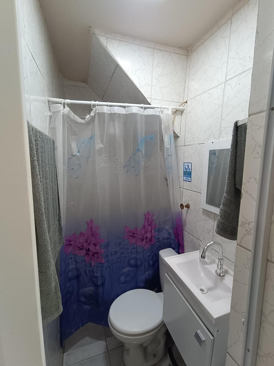 Shower, Toilet, Bathroom, towels