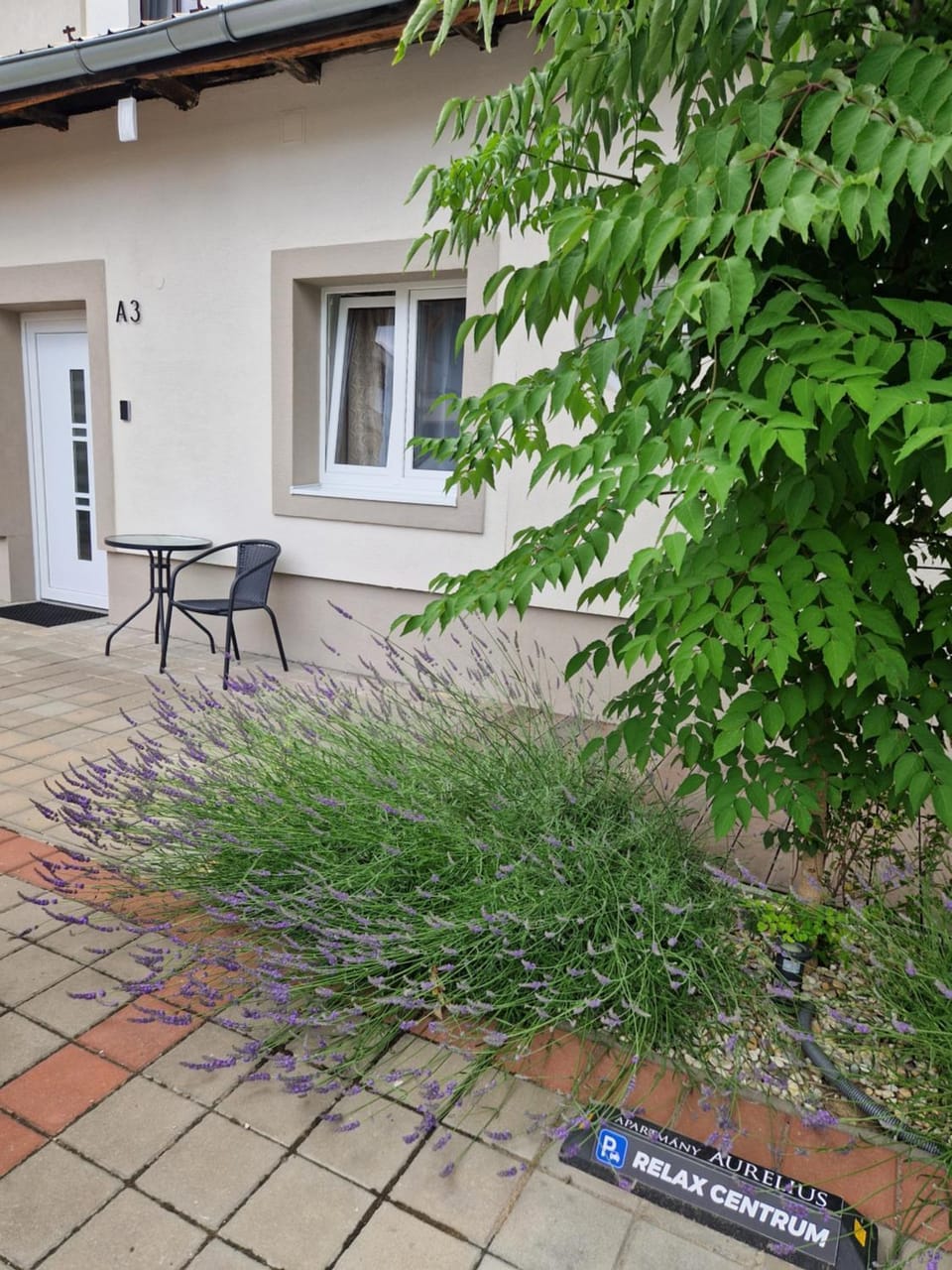 Property building, Garden, Balcony/Terrace
