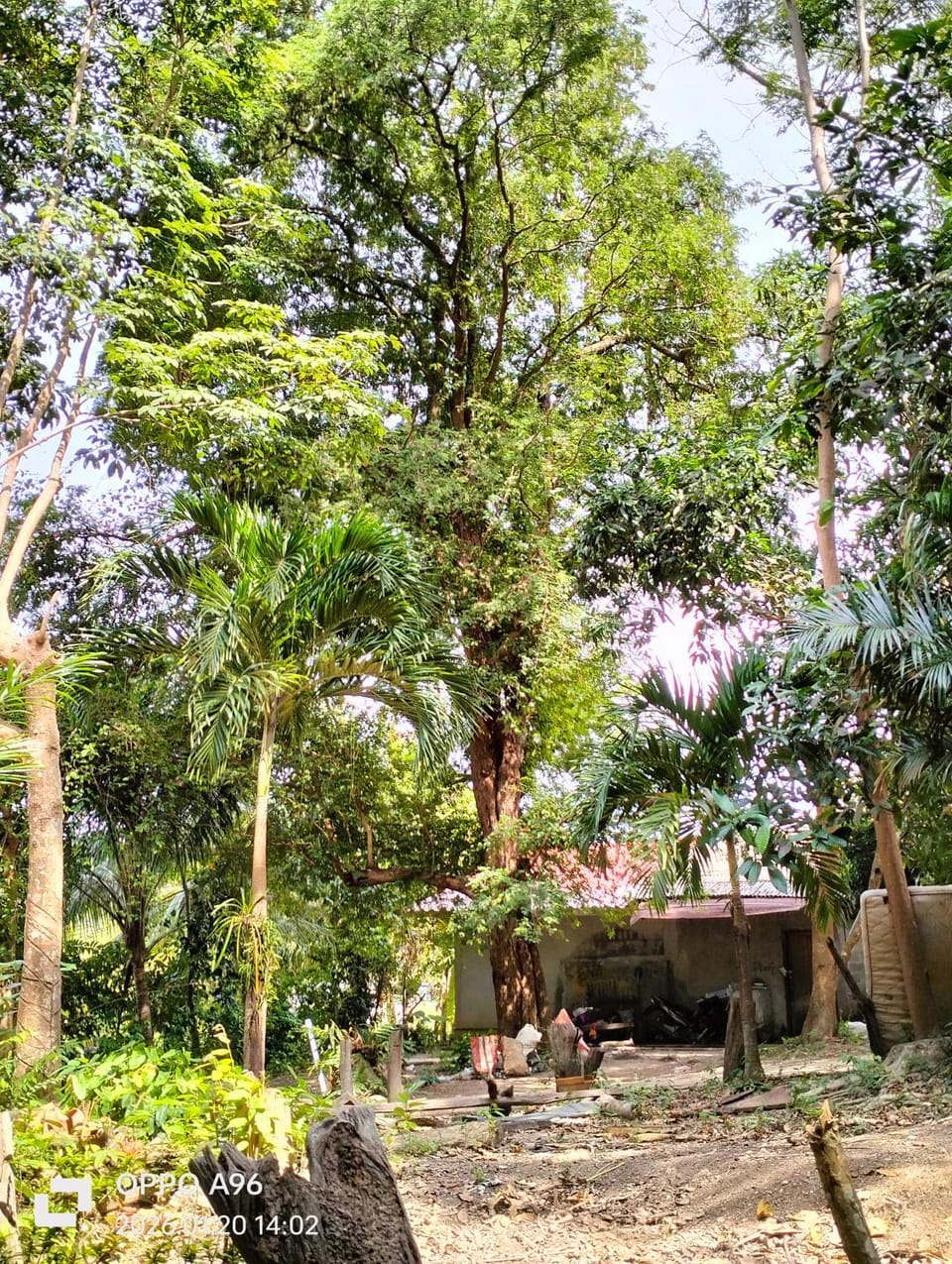 Baan Saikuan House in Sala Dan