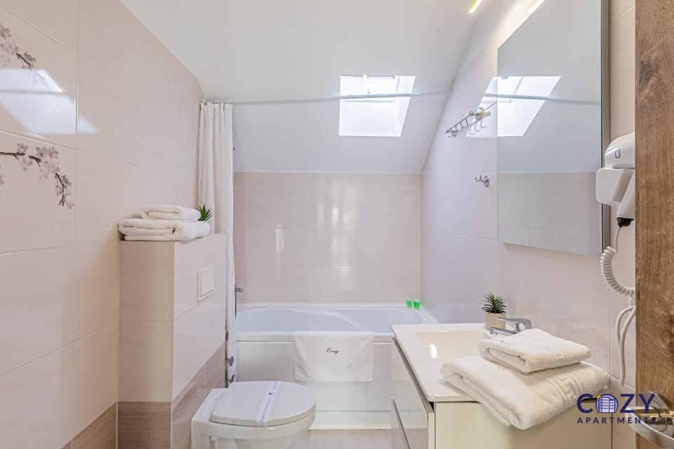 Shower, Toilet, Bathroom, Bath, towels