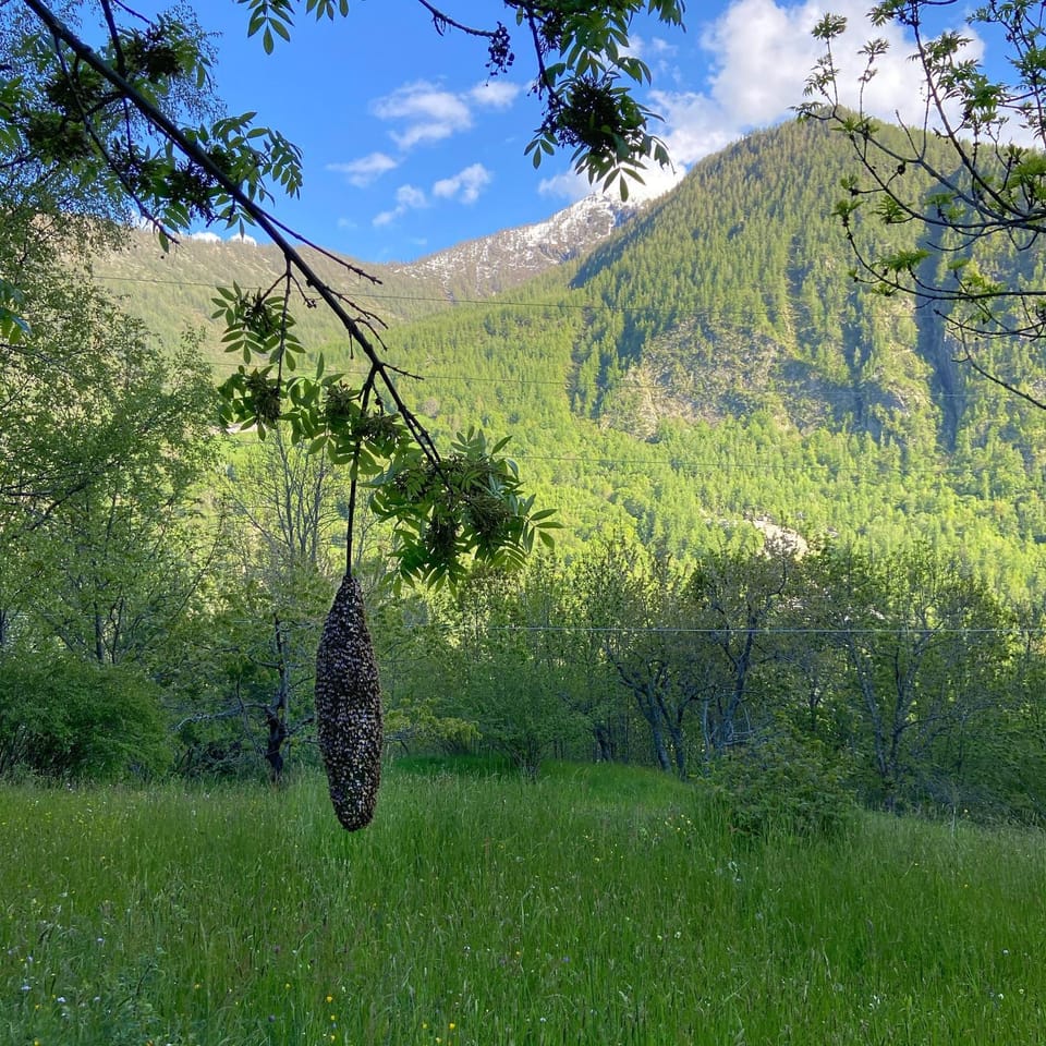 Spring, Day, Natural landscape, Mountain view
