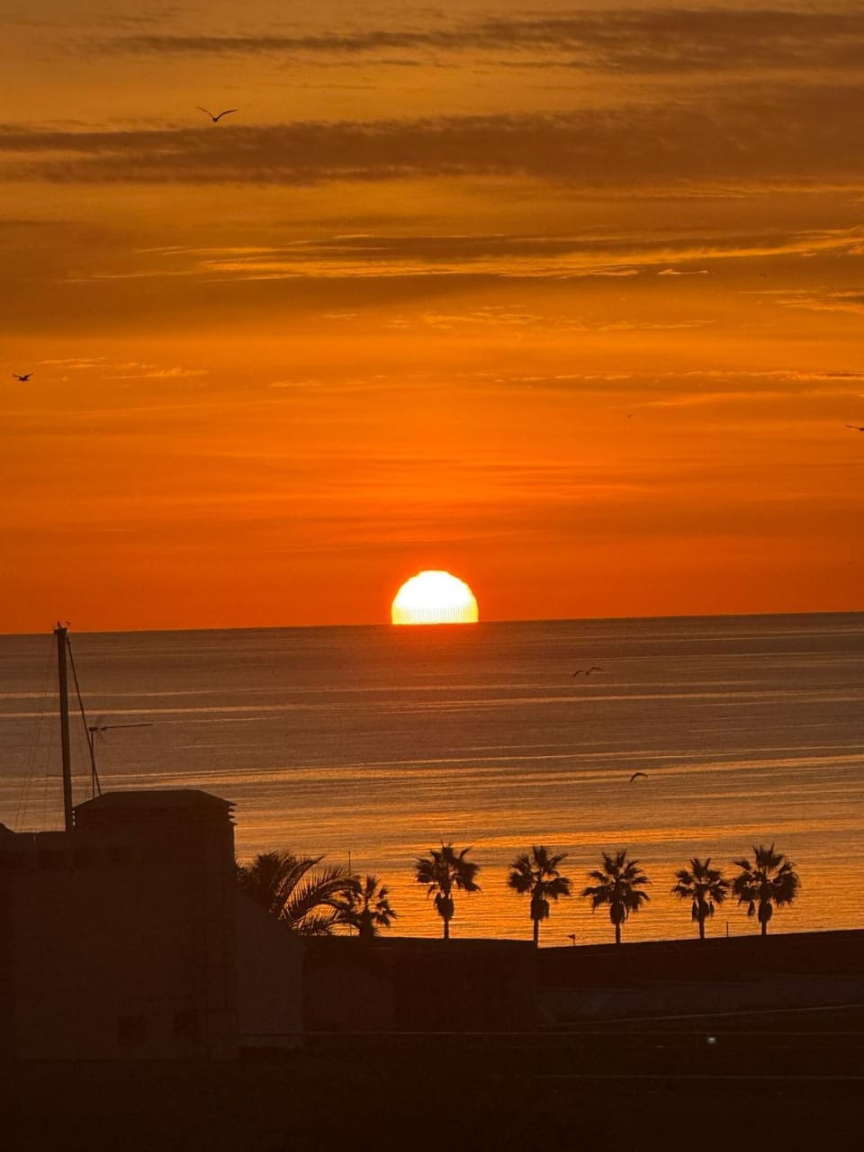 Intermobiliaria Rentals - Puerto Alto B4 6 Apartment in Estepona