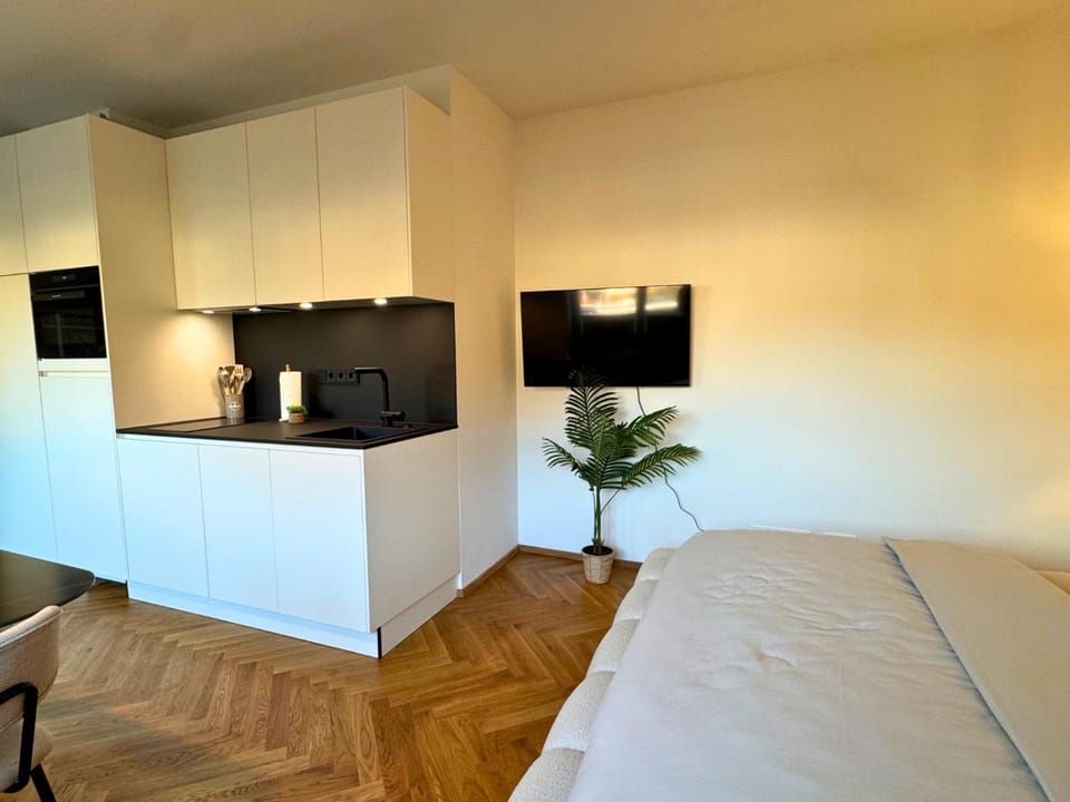 Bed, TV and multimedia, Coffee/tea facilities, Kitchen or kitchenette, Photo of the whole room, Bedroom