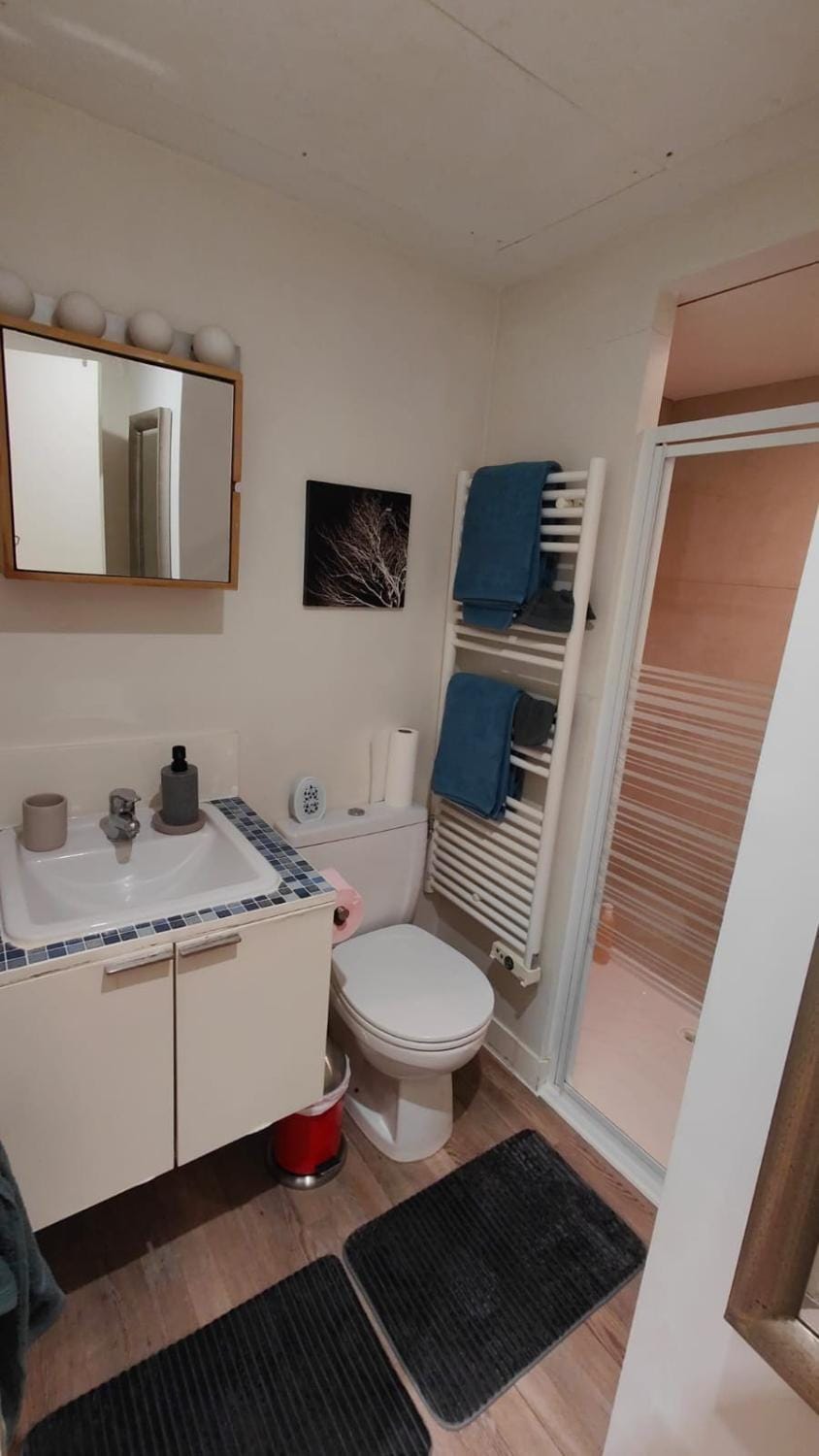 Shower, Toilet, Bathroom, towels