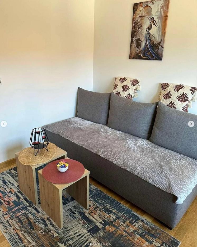 Apartman Zlatibor Cica Apartment in Zlatibor
