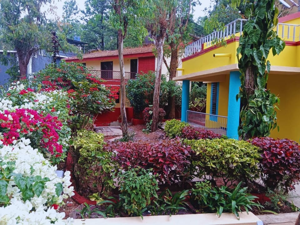 Garden, Garden, Garden view