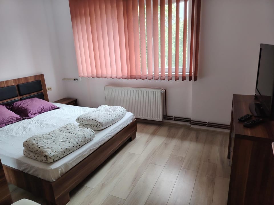Urban Vibe Apartment in Timiș County