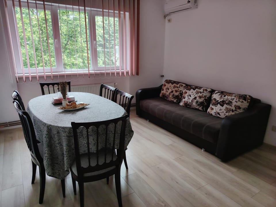 Urban Vibe Apartment in Timiș County