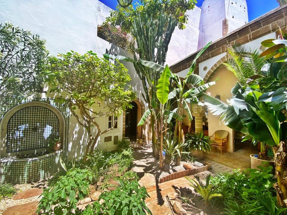 Spring, Day, Garden, Garden view