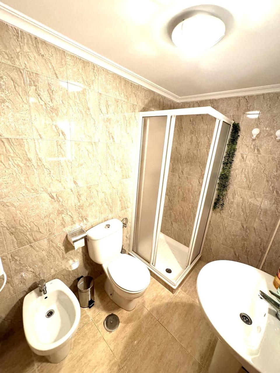 Shower, Toilet, Bathroom, bidet