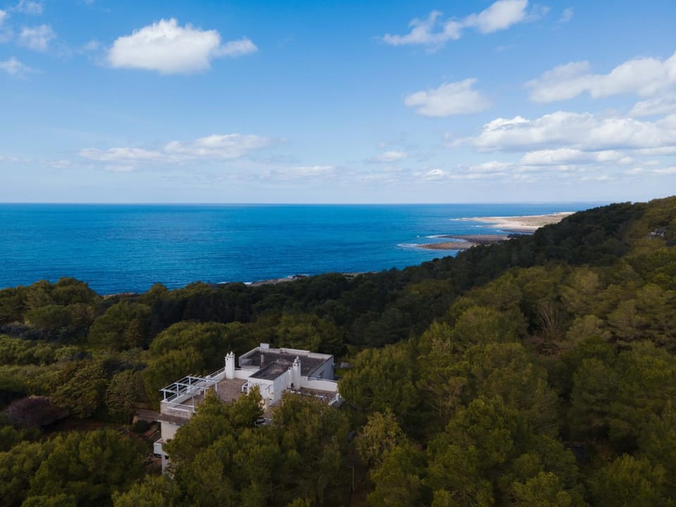 Property building, Bird's eye view