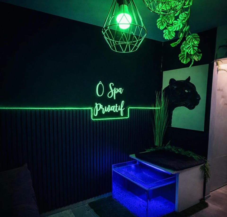 Ô Spa Privatif - Luxury Suite - JACUZZI-SAUNA-NETFLIX-FISHSPA-SERVIETTES-PEIGNOIRS-SANDALES-CAFE Villa in Wallonia, Belgium