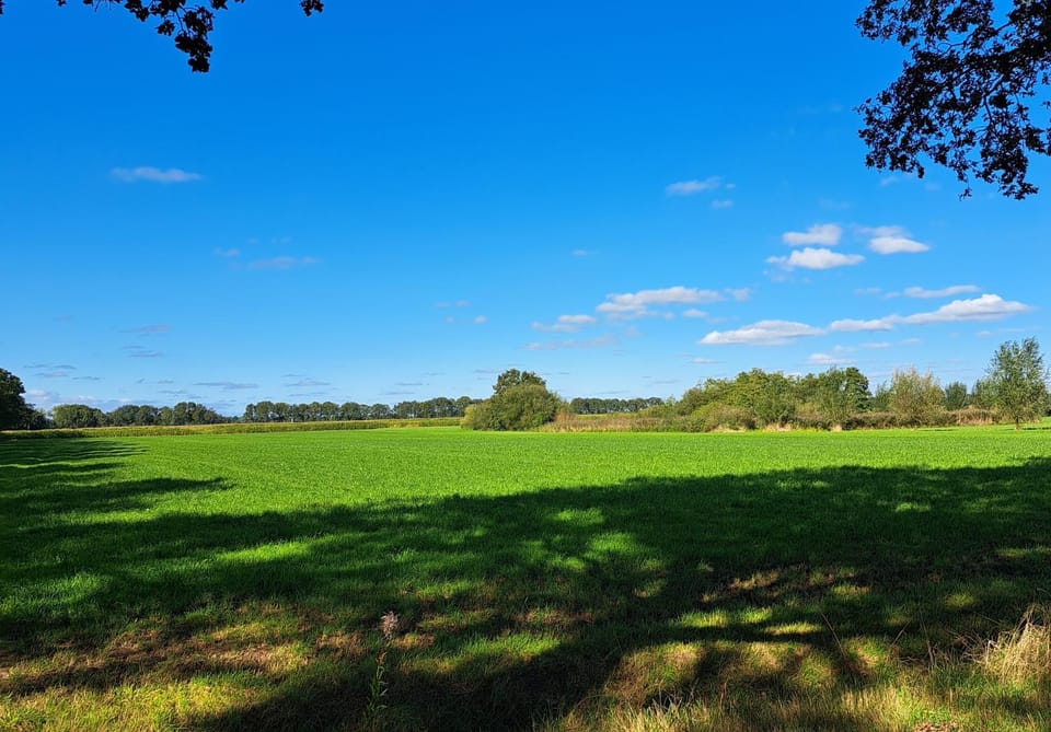 Day, Natural landscape