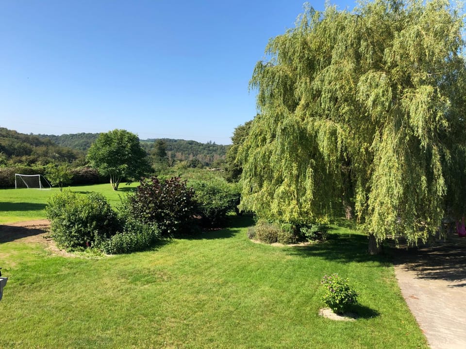 Garden, Garden view