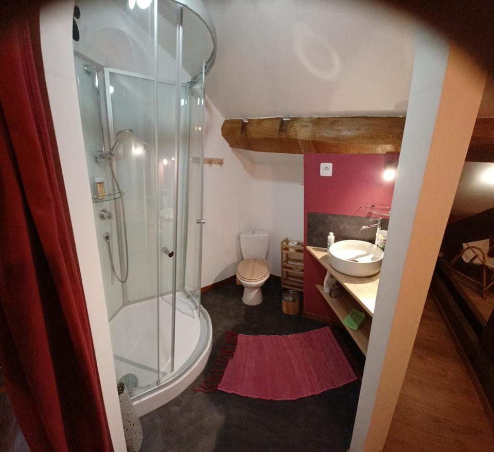 Shower, Toilet, Bathroom, towels
