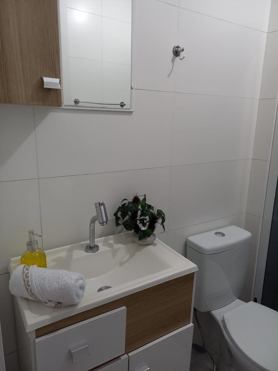 Espaço inteiro com mesa de trabalho Apartment in State of Santa Catarina