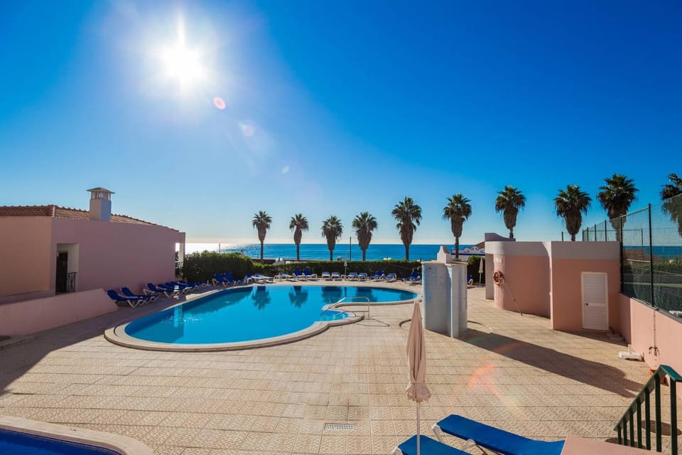 Natural landscape, Swimming pool, sunbed