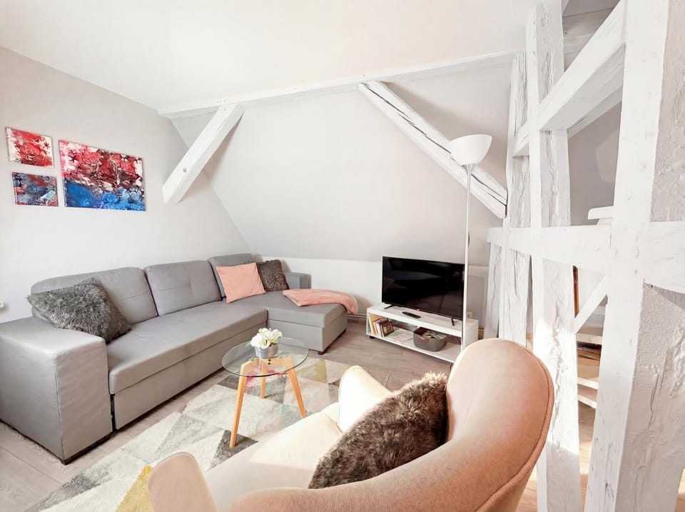 Chic&Cosy - Vue exceptionnelle - Centre Haguenau Apartment in Haguenau