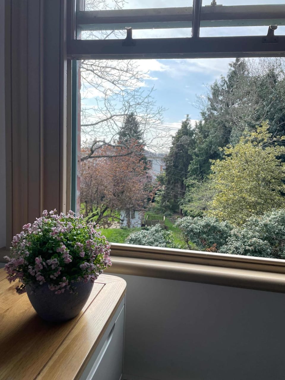 View (from property/room)