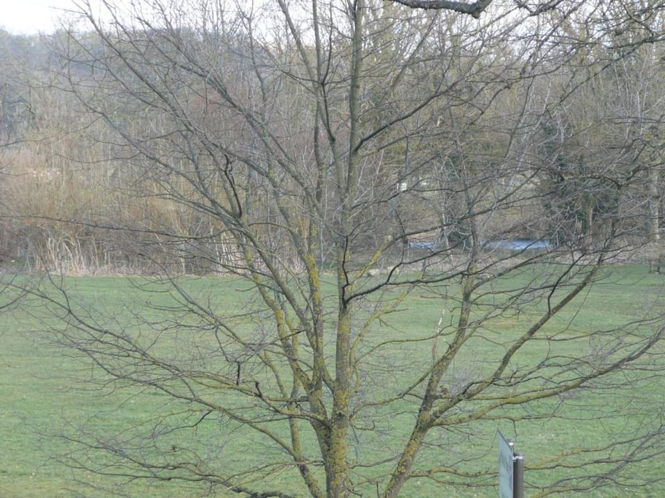 River view