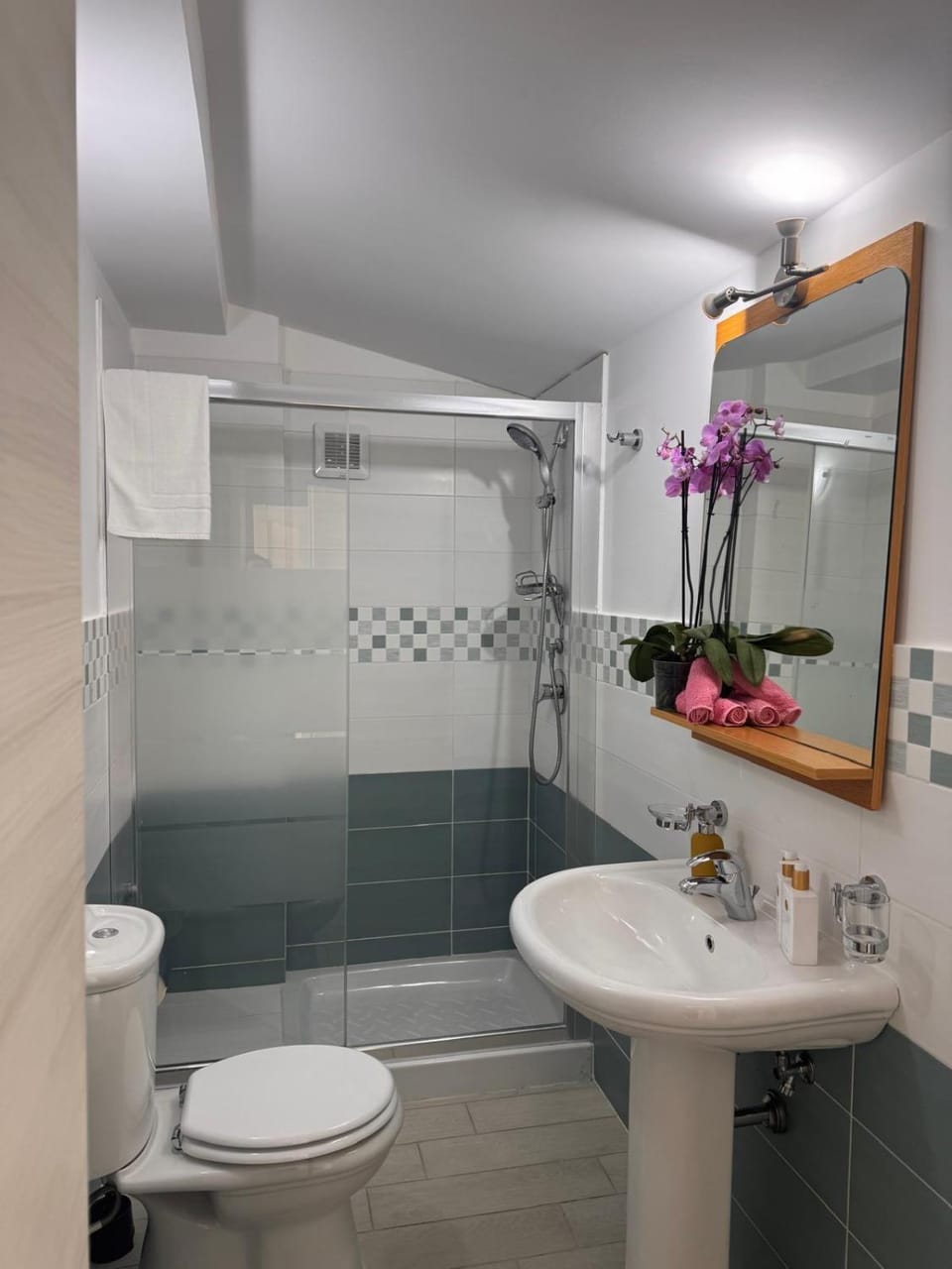 Shower, Toilet, Bathroom, bidet