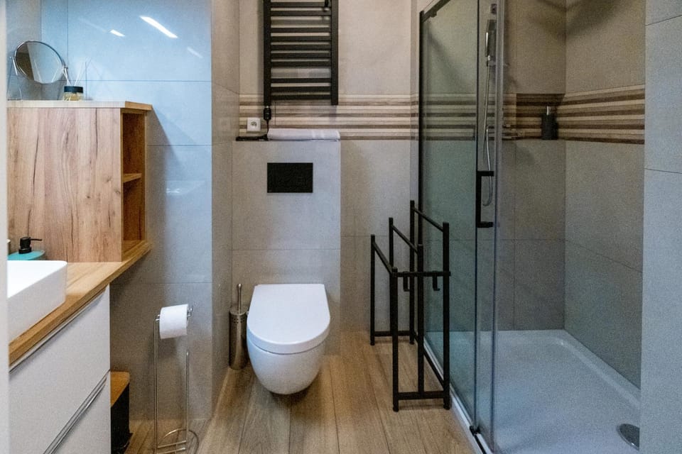 Shower, Toilet, Bathroom, hair dryier