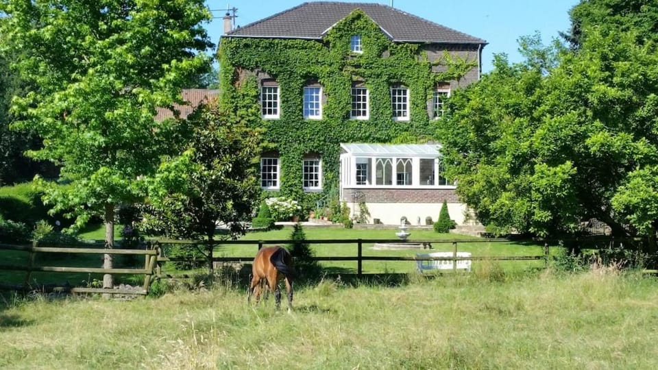 Natural landscape, Garden view