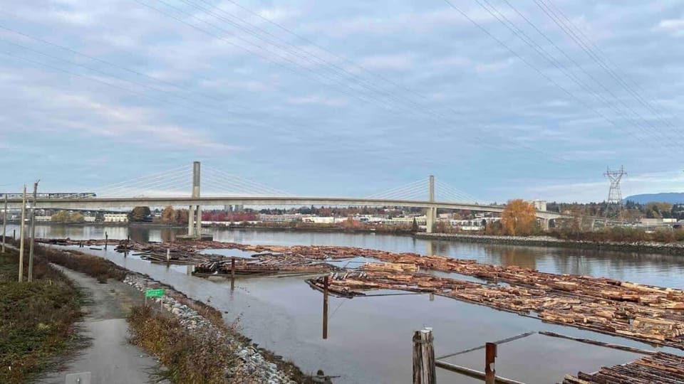 Spacious comfy stay Apartment in Richmond