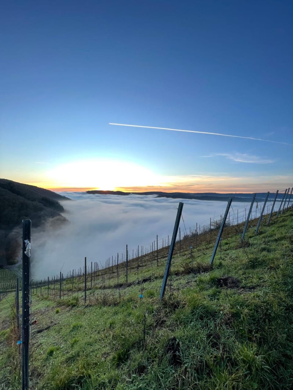 Urlaub-WeinhofHerrenberg 1 Apartment in Trier-Saarburg