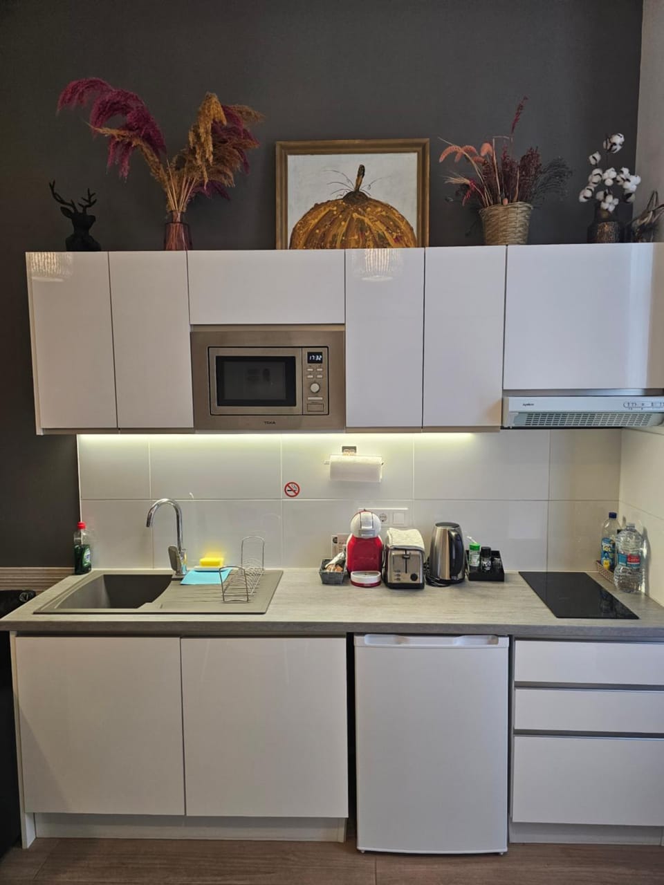 Kitchen or kitchenette, minibar, stove