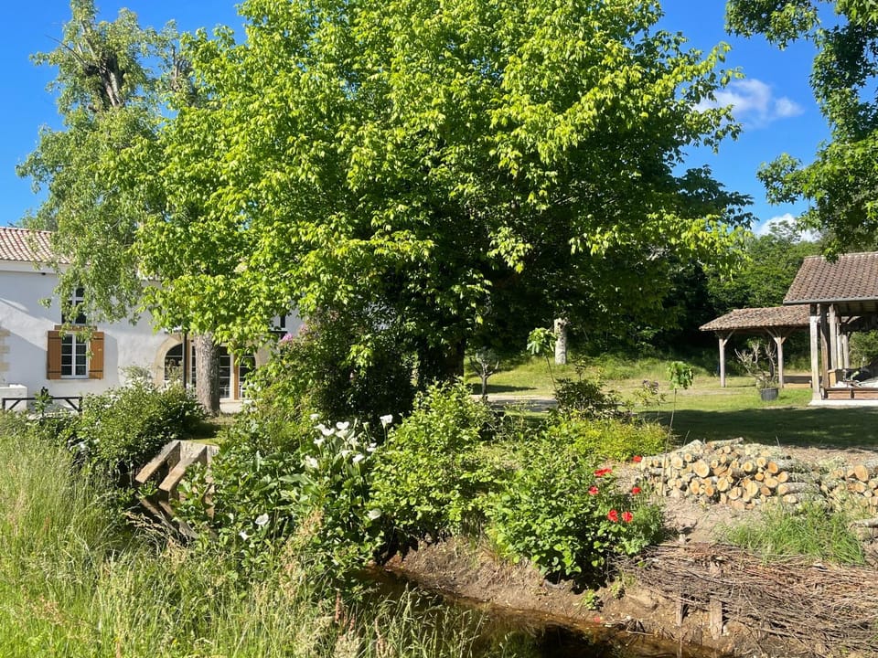 Day, Garden