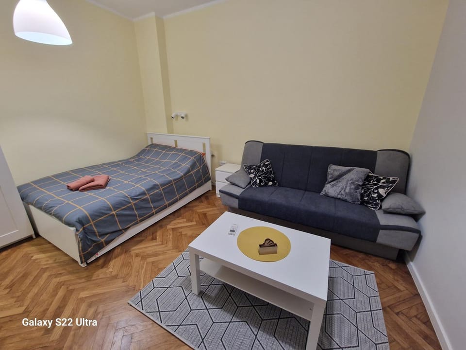 Bed, Living room, Photo of the whole room, Seating area, Bedroom