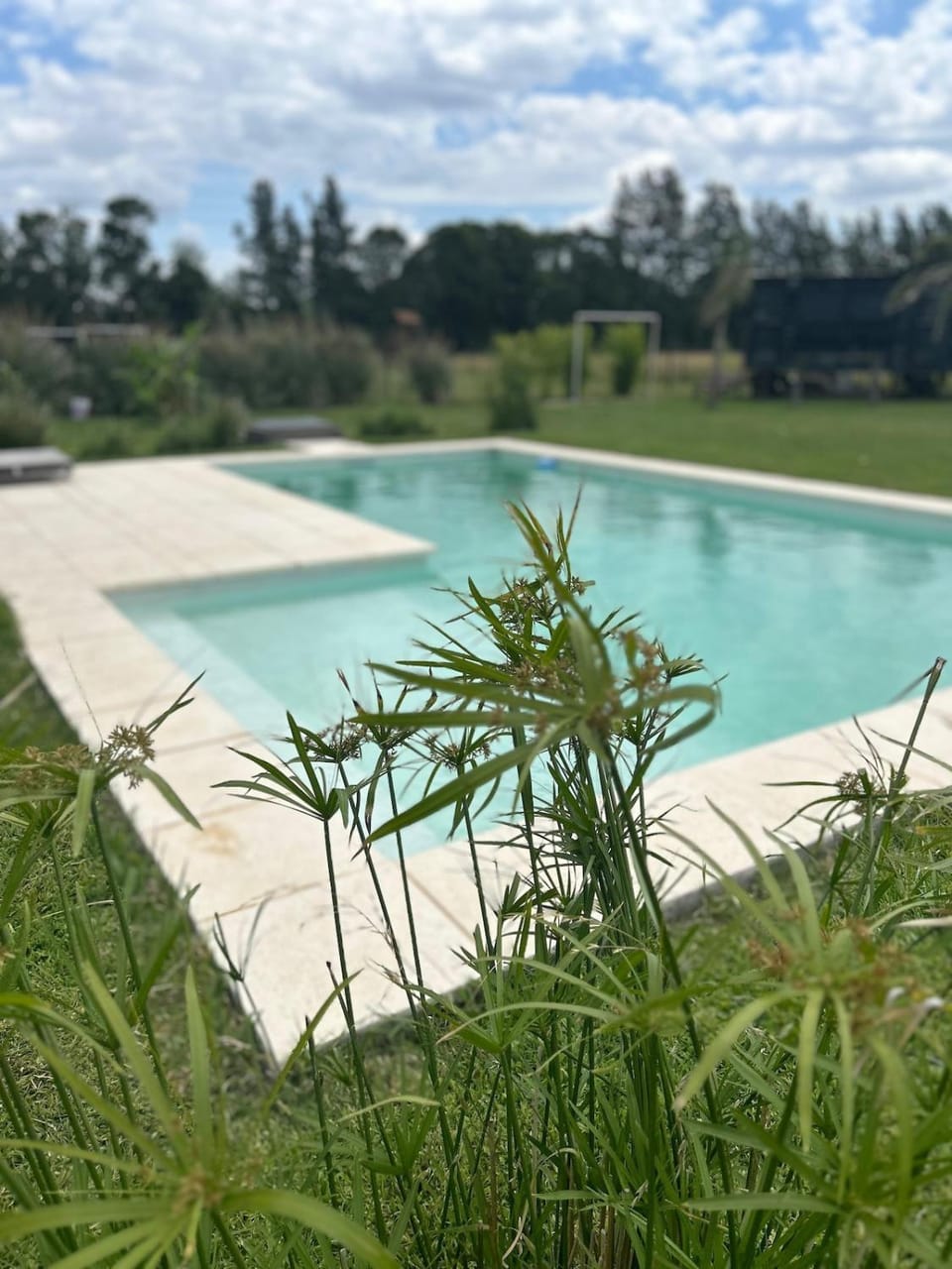 Spring, Day, Natural landscape, Garden, Garden, Garden view, Pool view, Swimming pool, Swimming pool