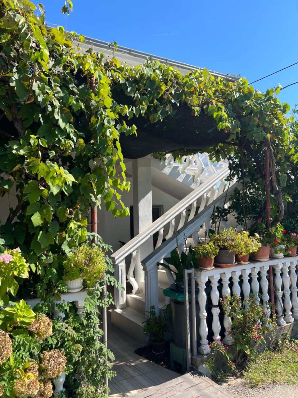 Property building, Day, Garden, Garden view, Street view