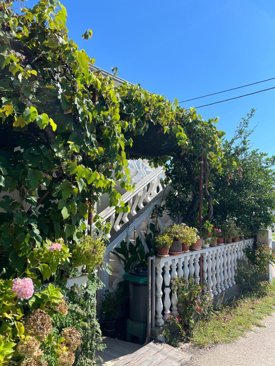 Day, Garden, Garden view, Street view