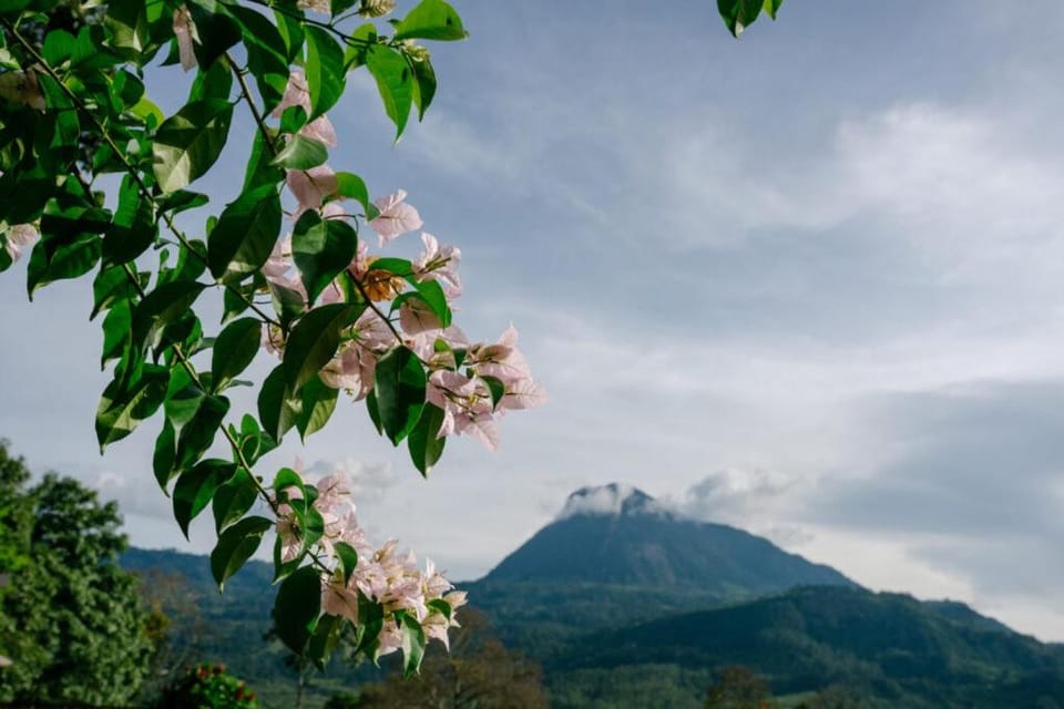 Spring, Day, Natural landscape, Landmark view, Mountain view